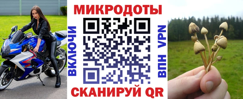 где купить наркоту  Пласт  Псилоцибиновые грибы мухоморы 